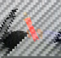 Red Rock Olives - Restaurant Gold Coast