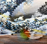 Bamboo Exmouth - Restaurant Gold Coast