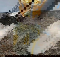 Breeze Bistro - Restaurant Gold Coast