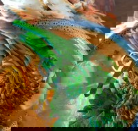 Fairbrossen Estate - Restaurant Gold Coast