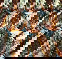 Farmer's Bakehouse - Restaurant Gold Coast