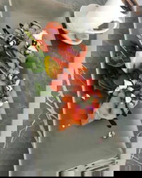 KALV  Co. Cafe and Wine Bar