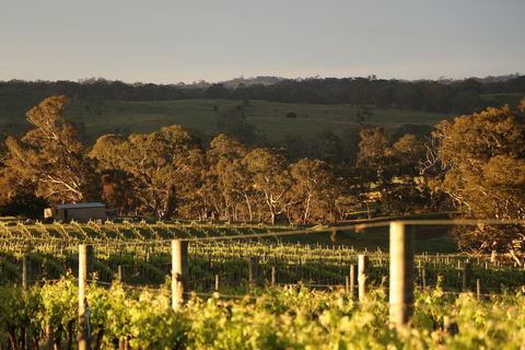 Max & Me Wine Tasting @ Eden Valley Hotel - Restaurant Gold Coast 1