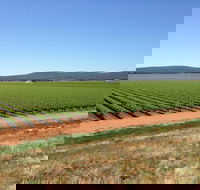 Melange Wines - Restaurant Gold Coast