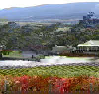 Milton Vineyard - Restaurant Gold Coast