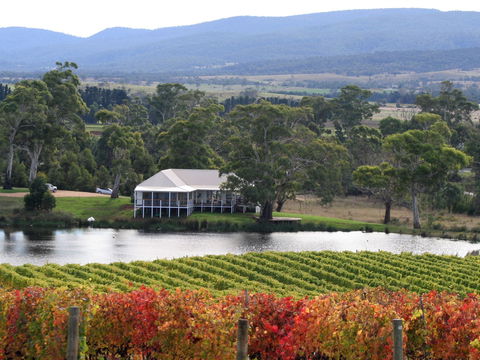 Milton Vineyard - Restaurant Gold Coast 0
