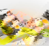 The Wild Herring - Restaurant Gold Coast