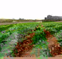 3 Drops - Restaurant Gold Coast