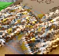 Rivo Kebab House - Restaurant Gold Coast