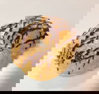 Delish Patisserie - Restaurant Gold Coast