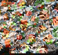 Thai Infinity Restaurant - Restaurant Gold Coast