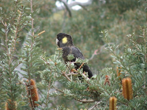 Sinclair's Gully - Restaurant Gold Coast 2