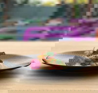 Bellottis Italian Dining - Cascades Motor Inn - Restaurant Gold Coast