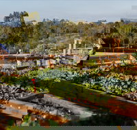 Homage - Restaurant Gold Coast