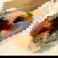 Macchinetta - Tullamarine