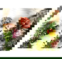 Prosciutto Bros. Craft Bar - Restaurant Gold Coast