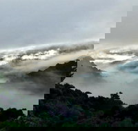 The Mushroom at Waratah - Restaurant Gold Coast