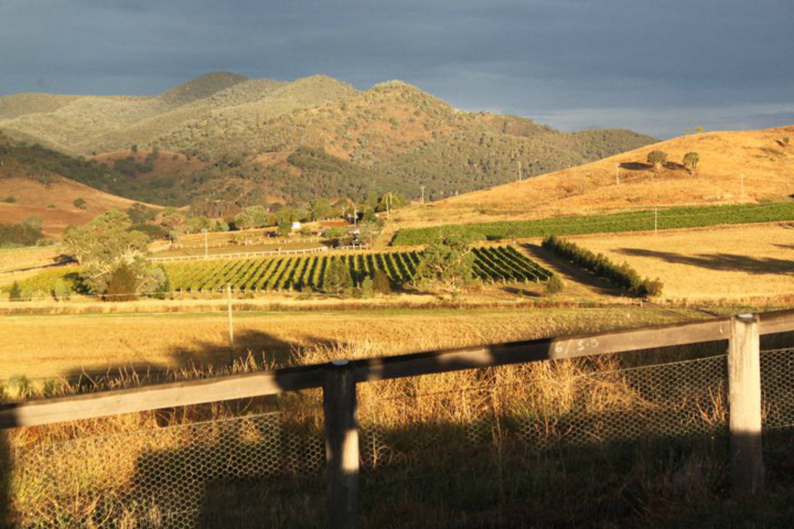 Buckaroo NSW Restaurant Gold Coast