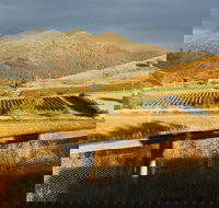 Optimiste Wines - Restaurant Gold Coast