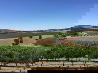 Peerick Vineyard and Winery