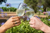 Redgate Wines