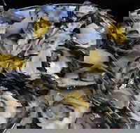 View 42o - Restaurant Gold Coast