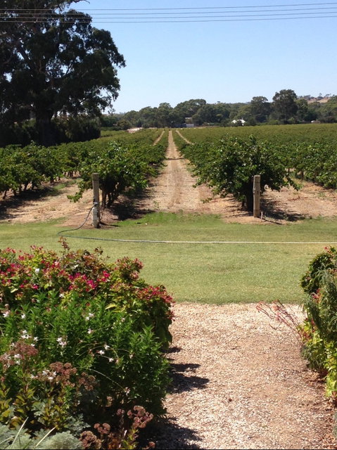 Willows Vineyard - Restaurant Gold Coast 2