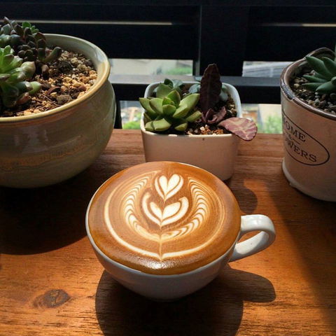 V Espresso - Restaurant Gold Coast 0