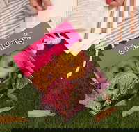 Donut King - Springfield - Restaurant Gold Coast