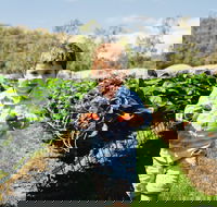 Hillwood Berries Farmgate  Pick Your Own - Restaurant Gold Coast