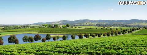 Yarrawood Estate - Restaurant Gold Coast 2