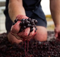 Tomfoolery Wines - Restaurant Gold Coast