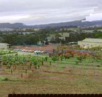 Villa d Esta Vineyard - Restaurant Gold Coast