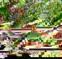 Jaques Coffee Plantation - Restaurant Gold Coast