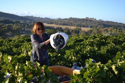 Serengale Vineyard - Restaurant Gold Coast 2