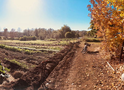 Synchronicity Farm - Restaurant Gold Coast 1