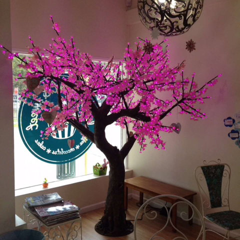 Keep It Short And Sweet - Restaurant Gold Coast 0