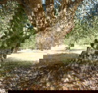 Lentara Grove - Restaurant Gold Coast