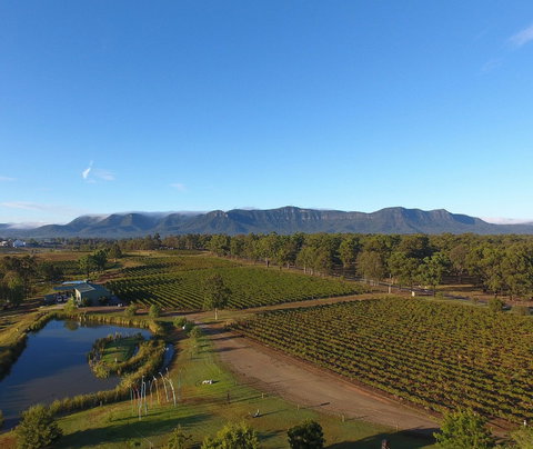 Mistletoe Winery - Restaurant Gold Coast 0