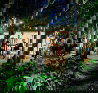 Rainforest Restaurant and Lounge Bar - Restaurant Gold Coast