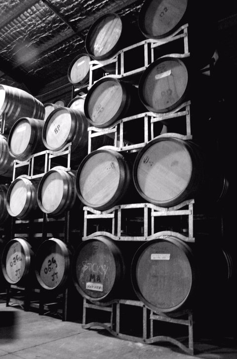 Tertini Wines - Restaurant Gold Coast 1