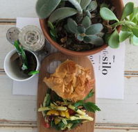 Cafe Silo - Restaurant Gold Coast