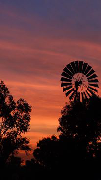 Emerald Springs Roadhouse - Restaurant Gold Coast 4