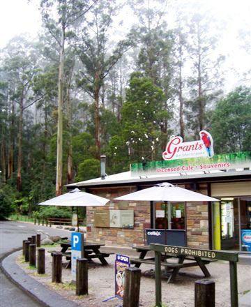 Grants On Sherbrooke - Restaurant Gold Coast 5