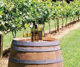 Jakkajan's - Restaurant Gold Coast 13