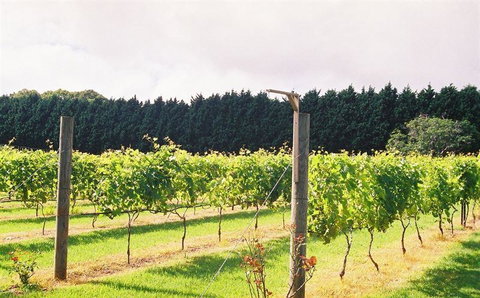 Jakkajan's - Restaurant Gold Coast 16