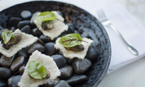 V Series - Restaurant Gold Coast 11