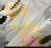 The Archie Secret Cafe - Restaurant Gold Coast