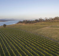 Bangor Vineyard Shed - Restaurant Gold Coast