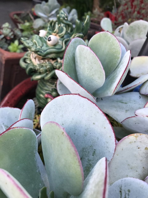 Junction Motel And Function Room - Restaurant Gold Coast 1